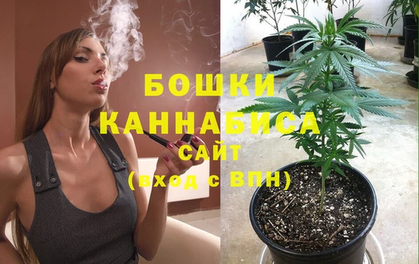 первитин Новодвинск
