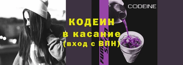 гашик Няндома