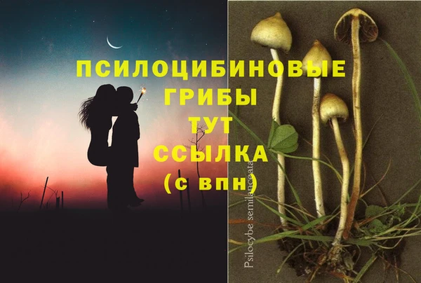 мет Новозыбков