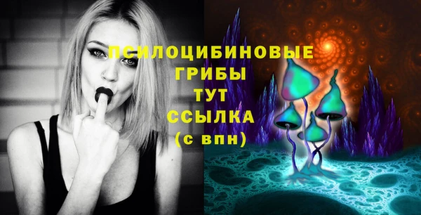 мет Новозыбков