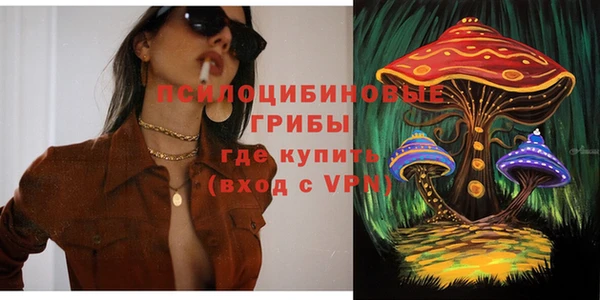мет Новозыбков