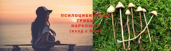 гашик Няндома