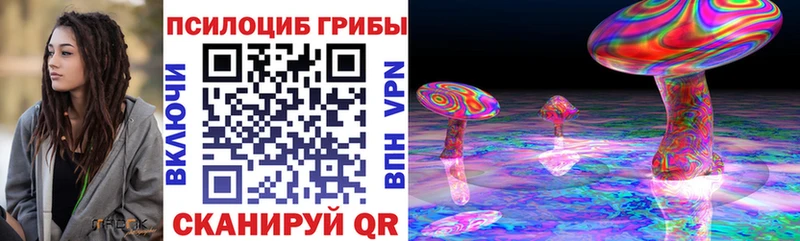 Псилоцибиновые грибы мицелий  сколько стоит  Рудня 